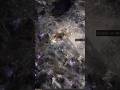 Path Of Exile 2 DRUID ORACLE WOLF GAMEPLAY #gaming #poe2