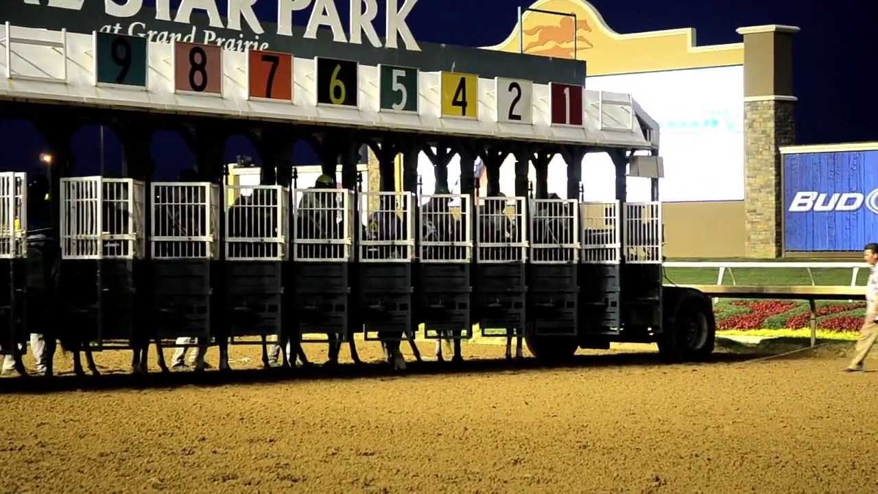 How To Train A Horse In The Starting Gate Youtube