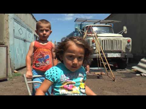 არჩევნები და ეკომიგრანტები