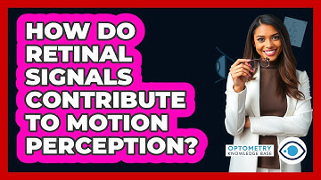 How Do Retinal Signals Contribute To Motion Perception?