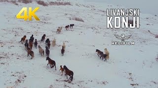 Livanjski divlji konji  - Snimci iz zraka - Wild Horses - Amazing Drone Footage