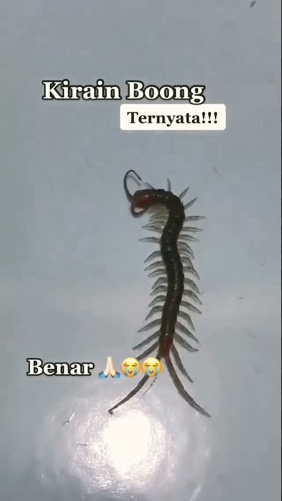 Bukti.. Ayat Al-Qur'an Adalah Mukjizat Luar Biasa.. 😭😢😭😢