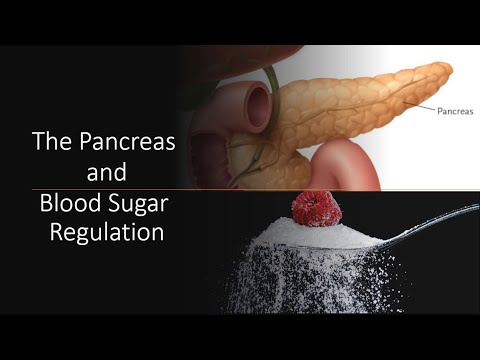 Video: Bakit ginagamit ang glucose sa paghihiwalay ng plasmid DNA?