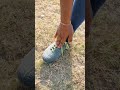 shooter ⚽#shorts #viral #trending #viralvideo #youtubeshorts#short