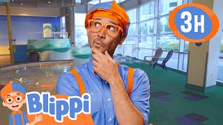 What's At The Museum??? | BLIPPI | Kids TV Shows | Cartoons For Kids | Fun Anime | Popular video