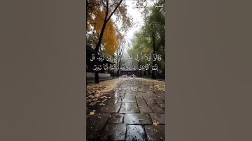سورة العنكبوت من  آية 48 إلى آية 51 بصوت الشيخ ياسر الدوسري♥♥