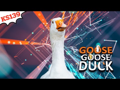 [Live 13] - Goose Goose Duck 