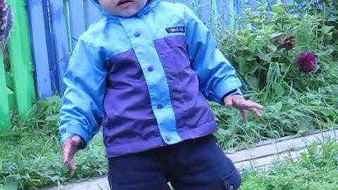 10 апреля 2018 г.