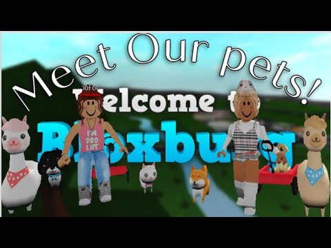 A Fun Day with our pets! | Roblox Bloxburg - YouTube