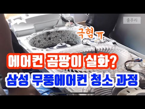 삼성 무풍에어컨&벽걸이 에어컨 곰팡이 청소 진행 과정 및 관리 방법