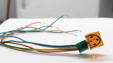 Wearable Tech Detects Stress