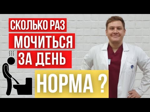 Сколько раз в день норма ходить в туалет по-маленькому? Количество мочеиспусканий за сутки в норме.