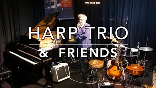 "Harp Trio & Friends"  al Duke Jazz Club