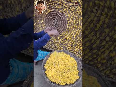 كيف تتم صناعة الحرير الطبيعي