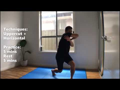Lam Son Vo Dao Part 5 Elbow Techniques 