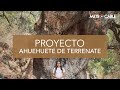 Proyecto Ahuehuete Terrenate - Metrocable Tenancingo