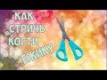 Как стричь когти ежику