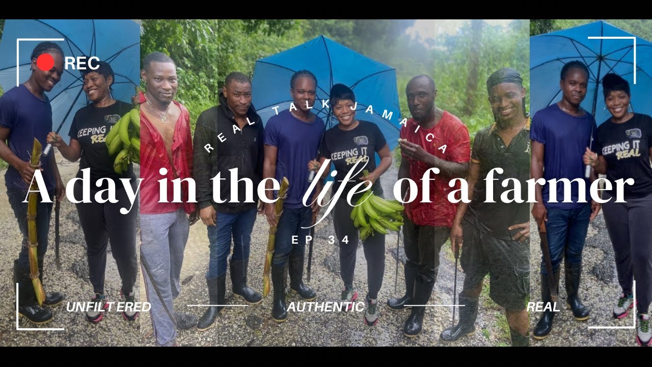 Real Talk Jamaica: A Day in the Life of a Farmer: Jamar Allen’s Journey