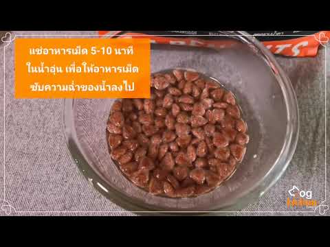 แจกฟรี !! อาหารสูตรลับ สำหรับน้องหมากินยากเบอร์แรง !!