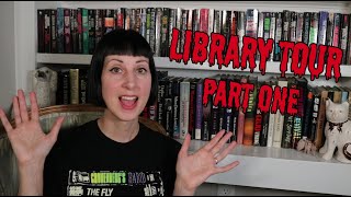 Library Tour Part 1: Introduction and Overview