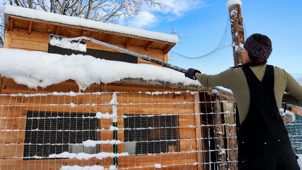 Snow at the Off Grid Cabin | Byron Glacier Ice Caves - YouTube