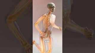 Do you like it? # #america #becom #popular #recomendation #skeleton #skeletonsystem #run