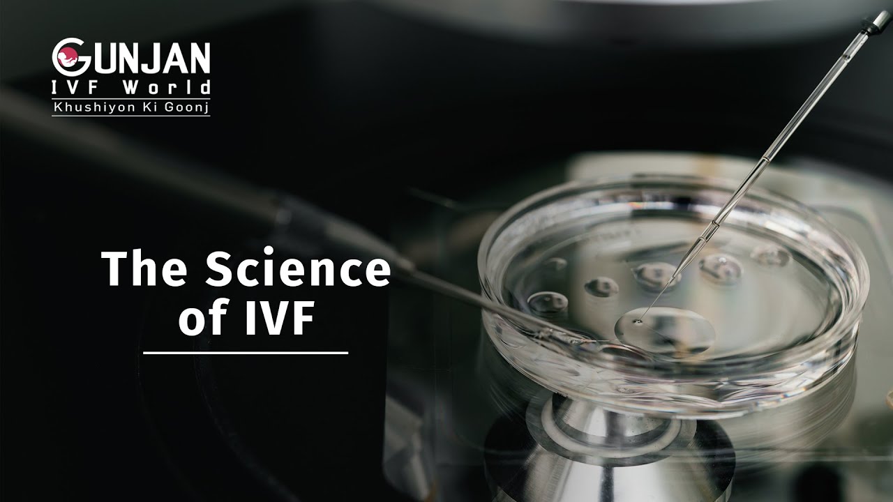 World Science Day | The Science of IVF 