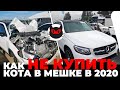 Как находить кота в мешке на Copart и IAAI в 2020 году?! vin.doctor на помощь!