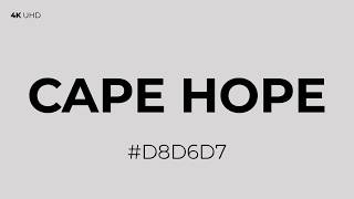 Cape Hope Screen - Solid Texture-Free Visual - (#D8D6D7) - RGB(216, 214, 215)