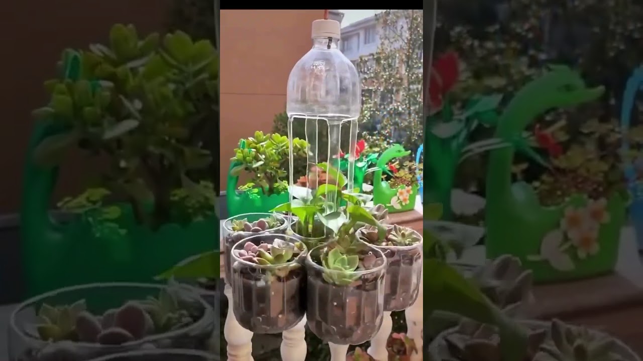 Recycled plastic bottle with a unique idea 