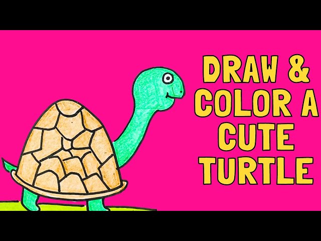 Sea Creature Turtle Color Square – Decorus Art