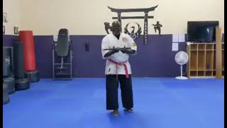 4 Foot Expandable Bo Staff Demonstration