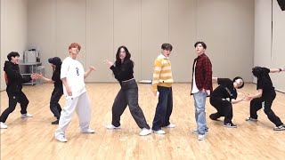 [Bss (Seventeen) - Fighting (Feat. Lee Youngji)] Dance Practice Mirrored