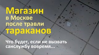 Зал супермаркета после травли тараканов в Москве