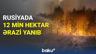 Rusiyada 12 Min Hektar Ərazi Yanıb - Baku Tv
