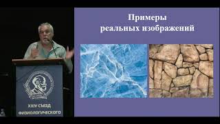 Нелокальный контраст как экзогенный фактор, управляющий зрительным вниманием