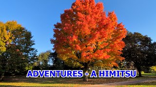 Download Lagu ADVENTURES - A HIMITSU -  This Trees From Applewood Hills Mississauga, Ontario Canada MP3 Download Lagu ADVENTURES - A HIMITSU -  This Trees From Applewood Hills Mississauga, Ontario Canada MP3