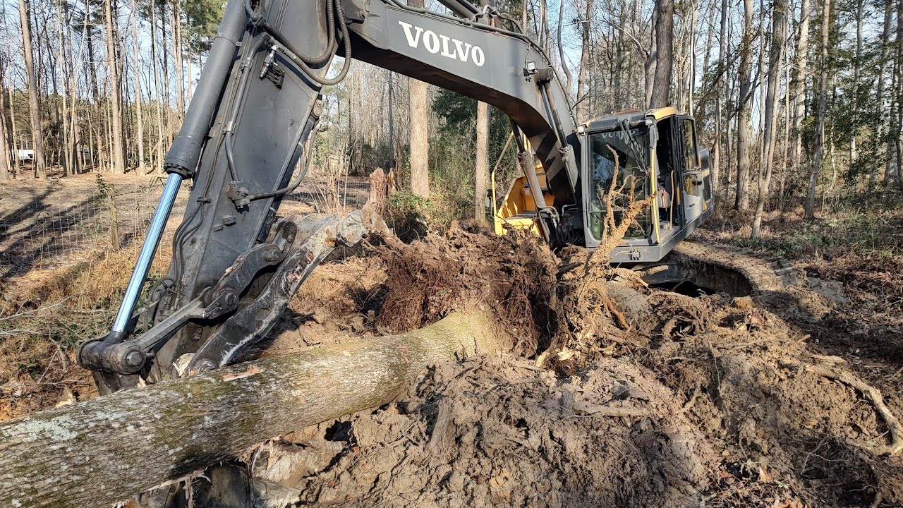 Big Tree Almost Got The Best Of Me! - YouTube