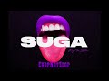 Miniature de la vidéo de la chanson Suga Intro (Chopnotslop Remix)