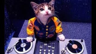 DJ tips and talk:  Hitting on guests? How to handle music requests.