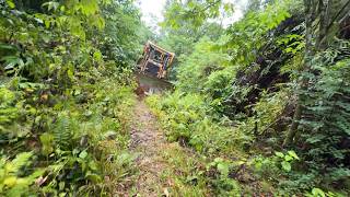 A CAT D6R XL Bulldozer Opens a Forest Road Abandoned for Decades in Just Minutes