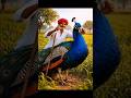 A lovely story A Farmer and A Peacock #ai #farming #tranding #artificialimagination