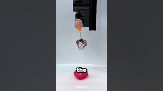 The Future Of Robotics?