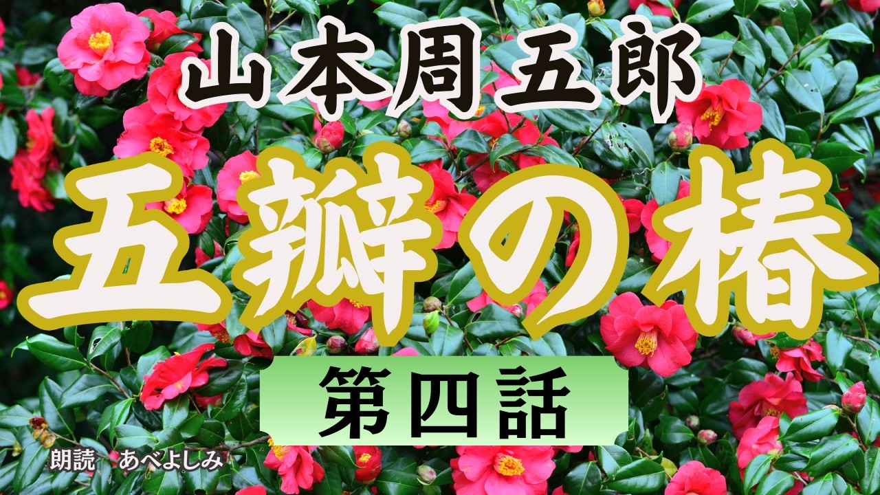 【朗読】山本周五郎「五瓣の椿」第四話　　　朗読・あべよしみ