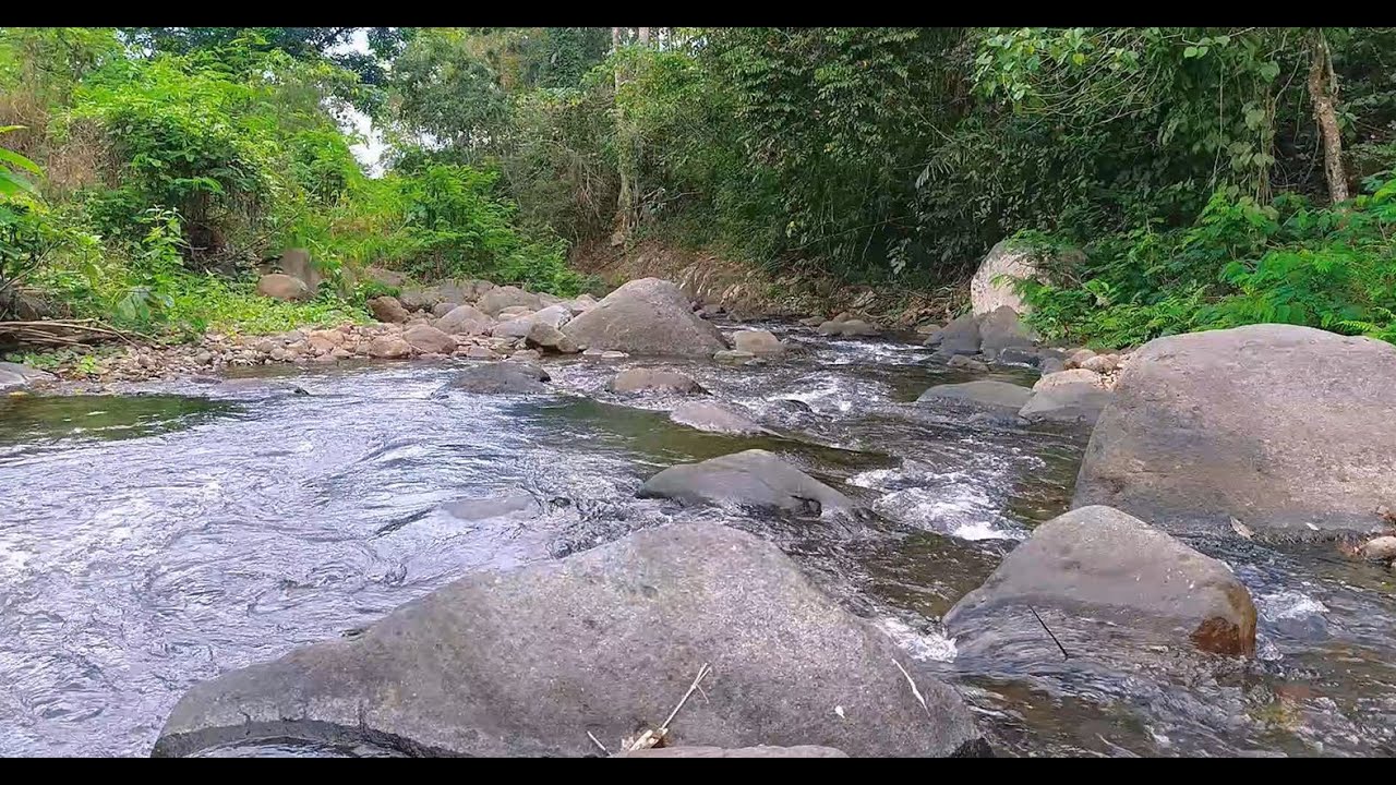 10 Hours Relaxing Nature Sounds for Studying,Spa,Sleeping - Natural ...