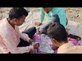 who is will win the match , teenpatti game 🎯 funny video