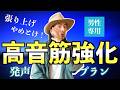 【男性用】高音筋強化！発声プラン CTコントロール【ボイストレーニング】【ボイトレ】【カラオケ】