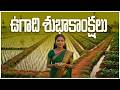 Ugadi Festival Promo 2026 🌸 తెలుగు వారి కొత్త సంవత్సరం శుభాకాంక్షలు | Telugu Wallet