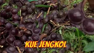 KUE JENGKOL | JEJAK SI GUNDUL (19/10/21)