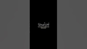 تلاوة من سورة الحجرات┇القارئ ياسر الدوسري #explore #quran #القرآن #راحة_نفسية #آية_القرآن #shots